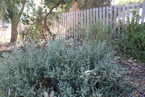 12 Apostles Cottages - QLD Tourism 2