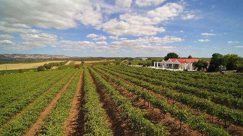 1837 Barossa Luxury Vineyard Cottages - QLD Tourism 0
