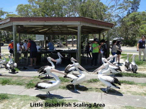 19 'Bay Parklands', 2 Gowrie Avenue - Ground Floor Renovated Unit With Water Views & WIFI - QLD Tourism 3