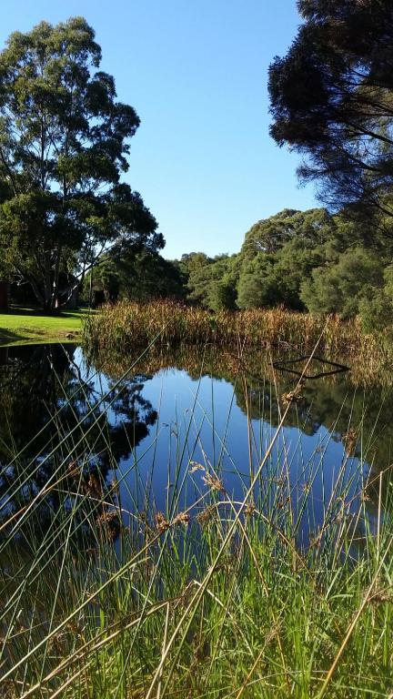Crystal Springs Holiday Accommodation - Queensland Tourism 0