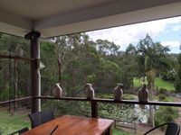 Book Gold Coast Accommodation Vacations QLD Tourism QLD Tourism