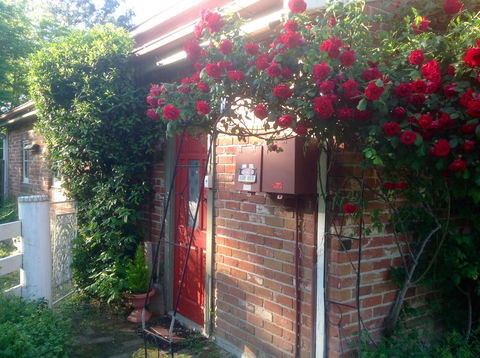 A Country Barn Retreat - QLD Tourism 2