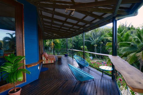 A Daintree Garden - QLD Tourism 2