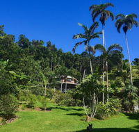 A Daintree Garden - Queensland Tourism