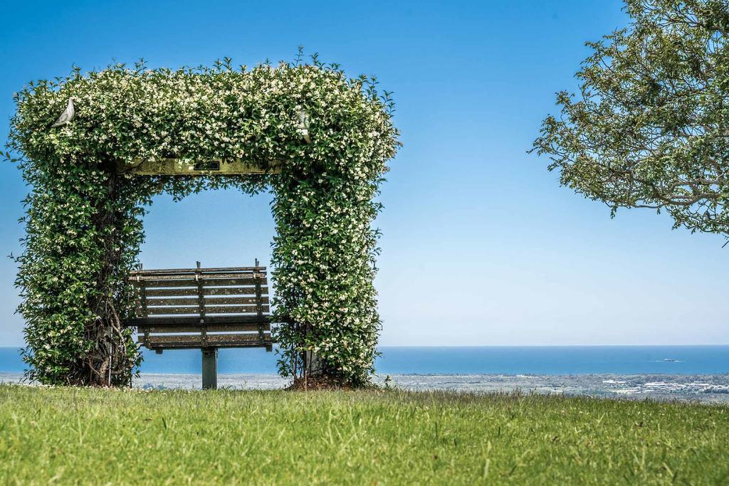 Mcleods Shoot NSW QLD Tourism