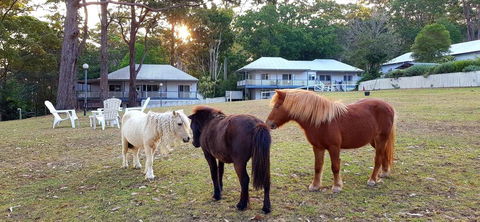 Aaronlee Retreat - QLD Tourism 2