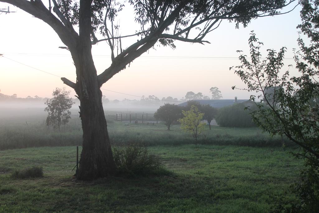 Seaton VIC QLD Tourism