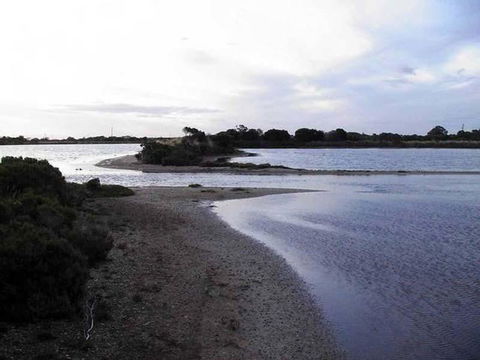 Absolute Waterfront - QLD Tourism 1