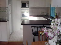 Book Forestville Accommodation Vacations QLD Tourism QLD Tourism
