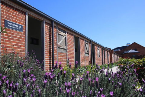 Dusty Hill Vineyard - Moffatdale - QLD Tourism 0