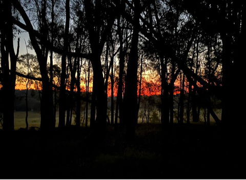 Eversprings Glamping - Queensland Tourism 4