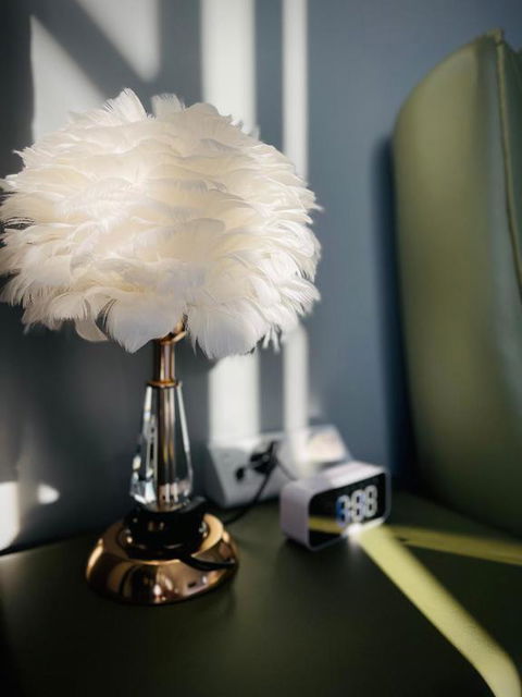 Equitice Spring Moonlight Villa - QLD Tourism 1