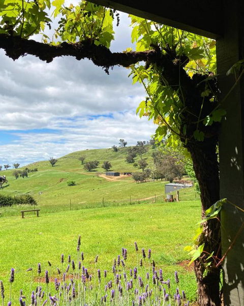 Elevation652 At Mt Bellevue In King Valley - Queensland Tourism 2