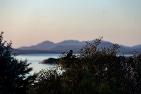 Faraway On Flinders Island - QLD Tourism 4