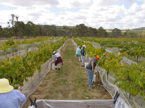 Fergies Hill Spa Cottage @ Granite Ridge Wines - QLD Tourism 2