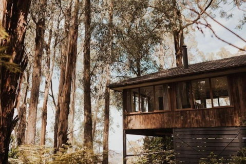 Forest Retreat - QLD Tourism 0