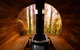 Forest Retreat - thumb 2