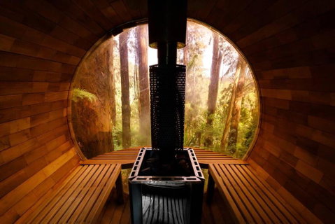 Forest Retreat - QLD Tourism 2