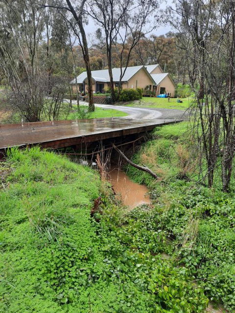 Frogmouth Hollow - QLD Tourism 4