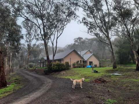 Frogmouth Hollow - QLD Tourism 0
