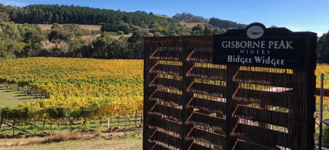 Gisborne Peak Winery Short Term Stays - QLD Tourism 0
