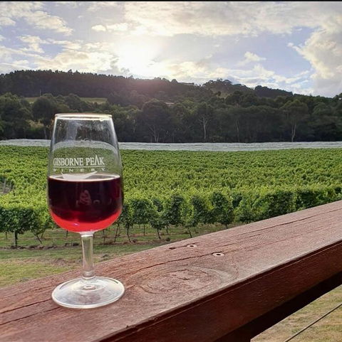Gisborne Peak Winery Short Term Stays - QLD Tourism 3