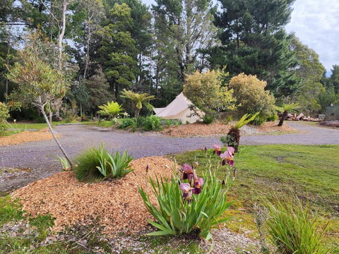 Glamping At Zeehan Bush Camp - QLD Tourism 1