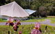 Glamping At Zeehan Bush Camp - thumb 4