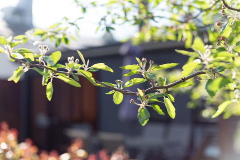 Gorgeous On Gleadow: The Twin - Queensland Tourism 4