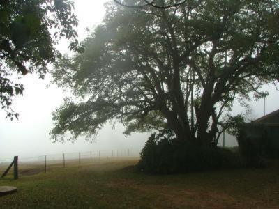 Hillview Cottages - QLD Tourism 3