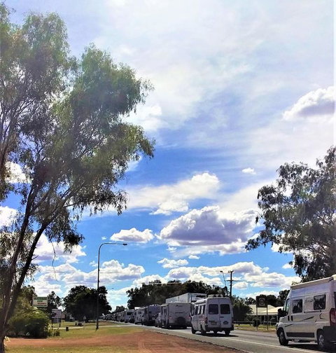 Ironbark Inn - QLD Tourism 3
