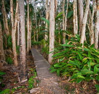 Agnes Palms Accommodation - Queensland Tourism