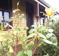 Albion Cottage - QLD Tourism