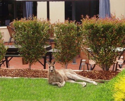 Alpha Hotel Canberra - QLD Tourism 1