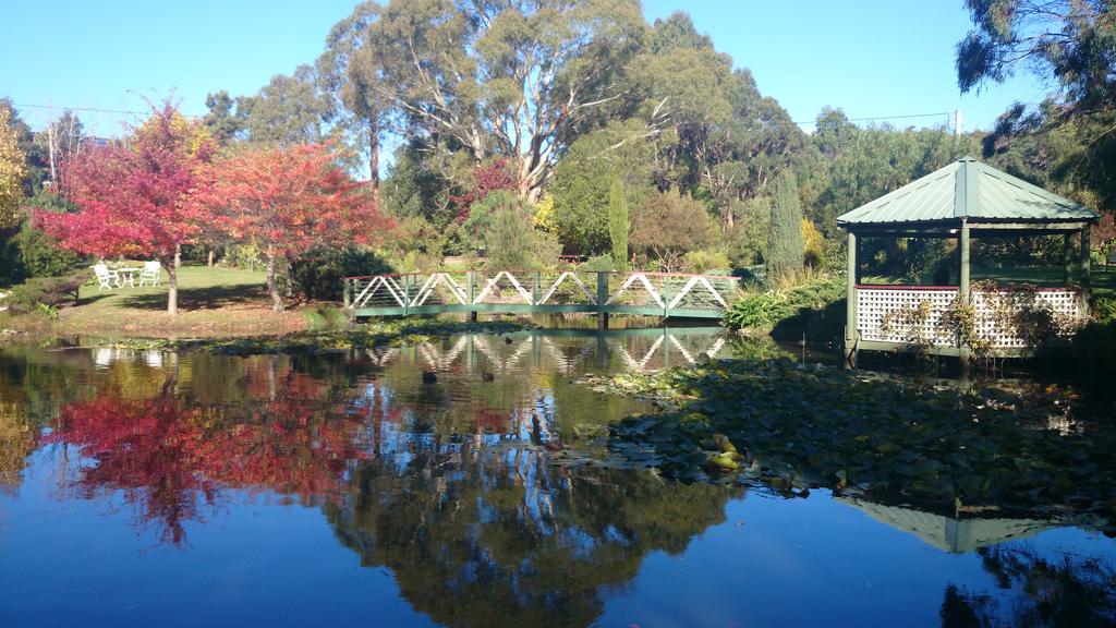 South Spreyton TAS QLD Tourism