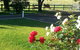 Appin Homestay B & B - thumb 3