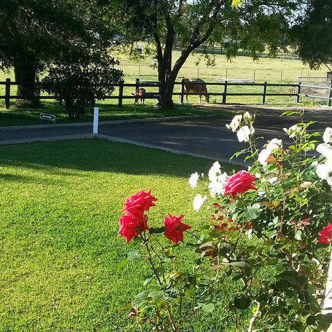 Appin Homestay B & B - QLD Tourism 3