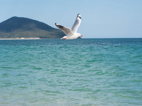 Architectural Design On The Beach - QLD Tourism 1
