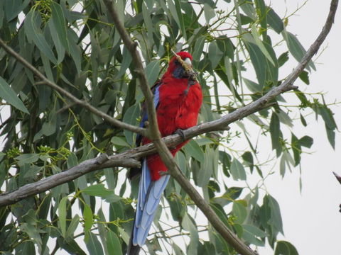 Arnold House - Queensland Tourism 2
