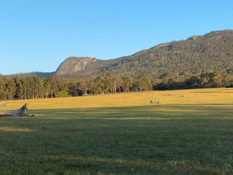 Manyat Peak Cottages Boobook - QLD Tourism 0