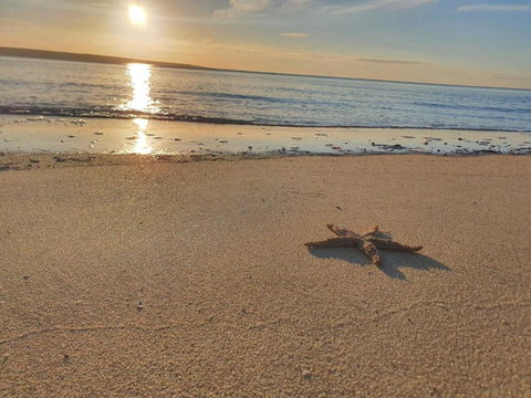 Matildas Of Kangaroo Island - QLD Tourism 1