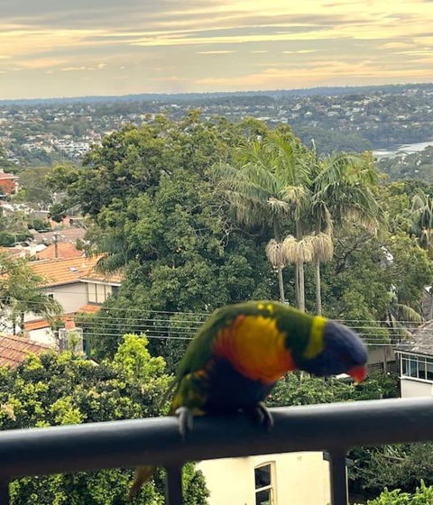 Mosman Views, 2bed, Parking, 15min Walk To Beach - Queensland Tourism 1