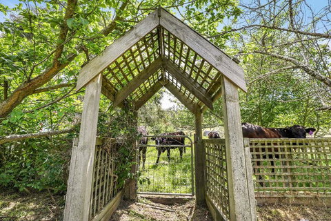 Mount Bolton Retreat - QLD Tourism 2