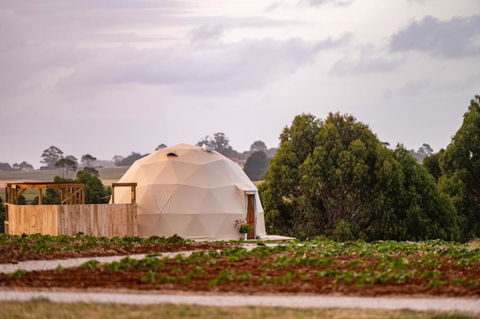 Mount Gnomon Farm - Queensland Tourism 0