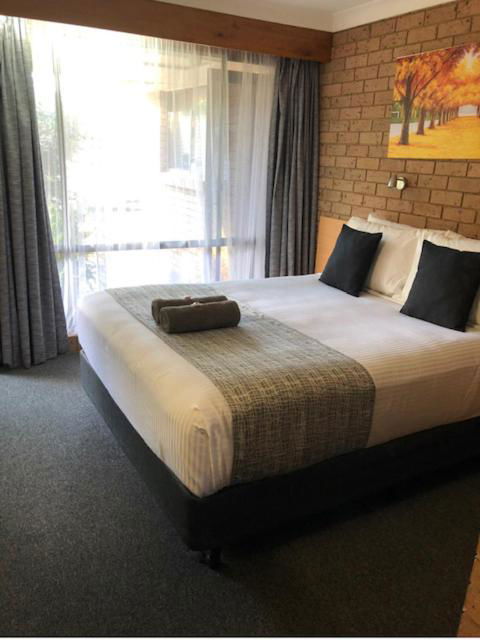 Muswellbrook Motor Inn - QLD Tourism 2