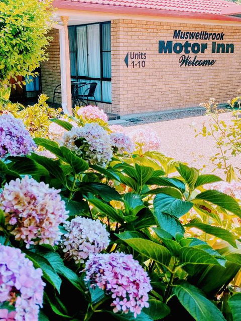 Muswellbrook Motor Inn - QLD Tourism 0