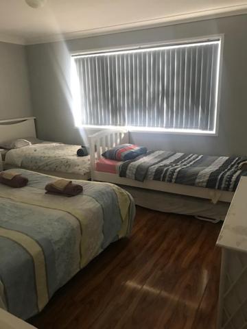 Mystic Blue And Green Meadow - QLD Tourism 3