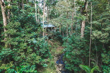 Narrows Escape Rainforest Retreat with QLD Tourism
