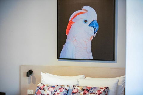Nightcap At The Charles Hotel - Queensland Tourism 3