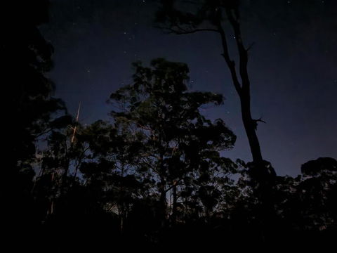 Oakey Creek Country Retreat Kenilworth - QLD Tourism 3
